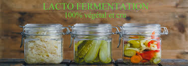 lacto-fermentation